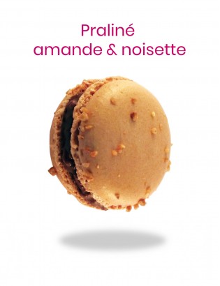 macaron praliné - planet macarons - gourmand