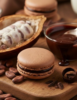 macaron chocolat noir et cacao - planet macarons - gourmand