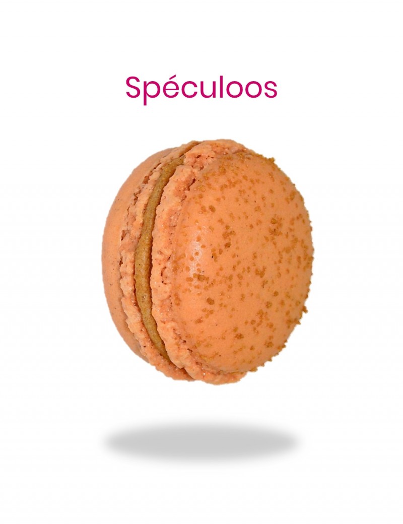 macaron au spéculoos - planet macarons