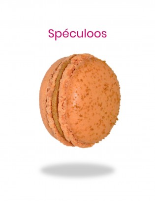 macaron au spéculoos - planet macarons