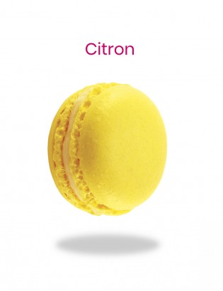 macaron au citron - planet macarons